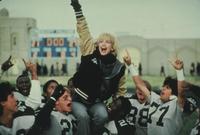 Wildcats - 8 x 10 Color Photo #14