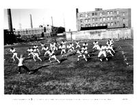 Wildcats - 8 x 10 B&W Photo #5