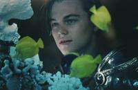 William Shakespeare's Romeo and Juliet - 8 x 10 Color Photo #7