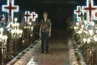 William Shakespeare's Romeo and Juliet - 8 x 10 Color Photo #9