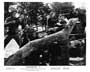 Winchester '73 - 8 x 10 B&W Photo #3