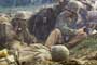 Windtalkers - 8 x 10 Color Photo #10