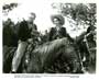 Wings of the Hawk - 8 x 10 B&W Photo #1