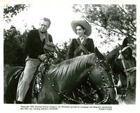 Wings of the Hawk - 8 x 10 B&W Photo #1