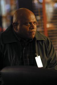 Without a Trace (TV) - 8 x 10 Color Photo #025