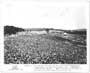 Woodstock - 8 x 10 B&W Photo #5