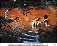 Woodstock - 8 x 10 Color Photo #1