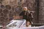 XXX - 8 x 10 Color Photo #5
