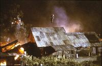 XXX - 8 x 10 Color Photo #18