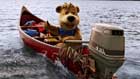 Yogi Bear - 8 x 10 Color Photo #7