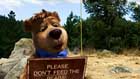 Yogi Bear - 8 x 10 Color Photo #13