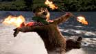 Yogi Bear - 8 x 10 Color Photo #15