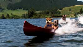 Yogi Bear - 8 x 10 Color Photo #21