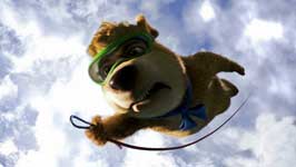 Yogi Bear - 8 x 10 Color Photo #38