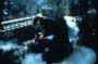 Young Sherlock Holmes - 8 x 10 Color Photo #18