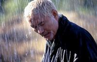 Zatoichi - 8 x 10 Color Photo #1