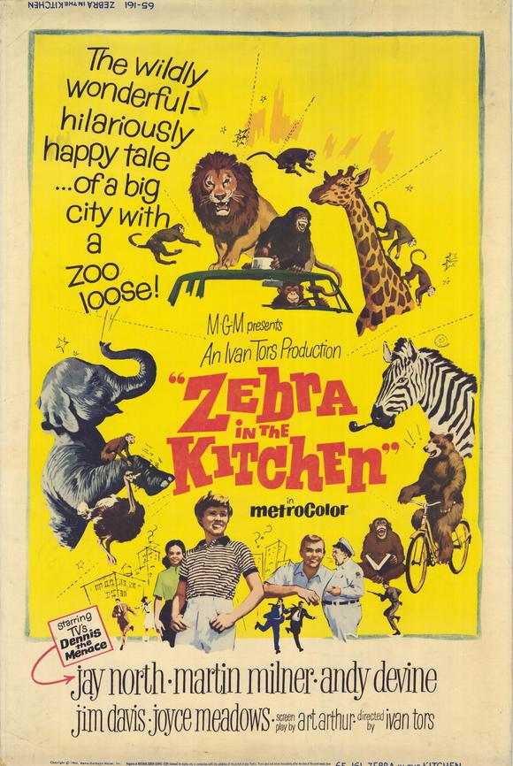 Zebra In The Kitchen [1965]
