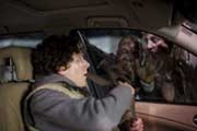 Zombieland - 8 x 10 Color Photo #26