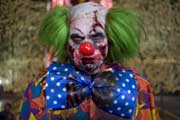 Zombieland - 8 x 10 Color Photo #27