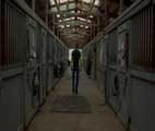 Zoo - 8 x 10 Color Photo #6