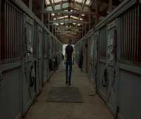 Zoo - 8 x 10 Color Photo #6