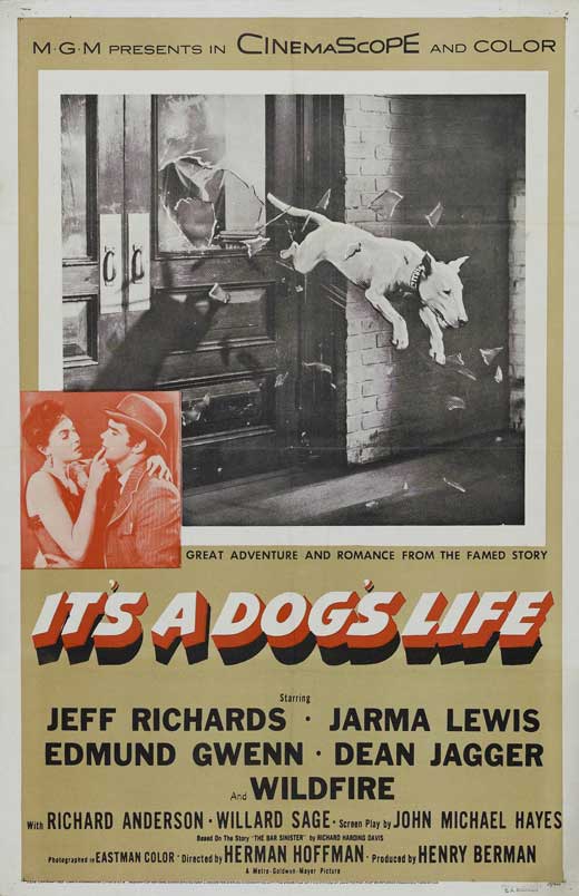 It's a Dogs Life Movie Posters From Movie Poster Shop